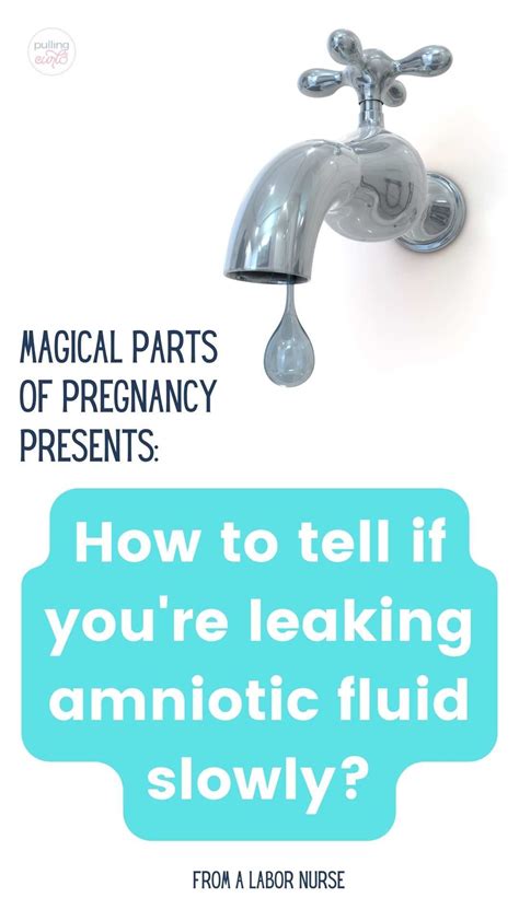 does leaking amniotic fluid smell|Leaking amniotic fluid (premature rupture of membranes)